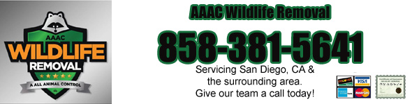 Santee Wildlife Removal, Pest Animal Control CA - AAAC Wildlife Removal
