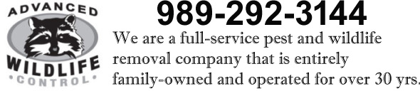 Jackson County Wildlife Removal, Pest Animal Control MI - Advanced