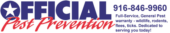 Exterminator Pest Control Rancho Cordova Ca Clark Pest Control