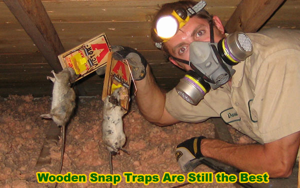 http://www.wildlife-removal.com/images/rattraps.jpg