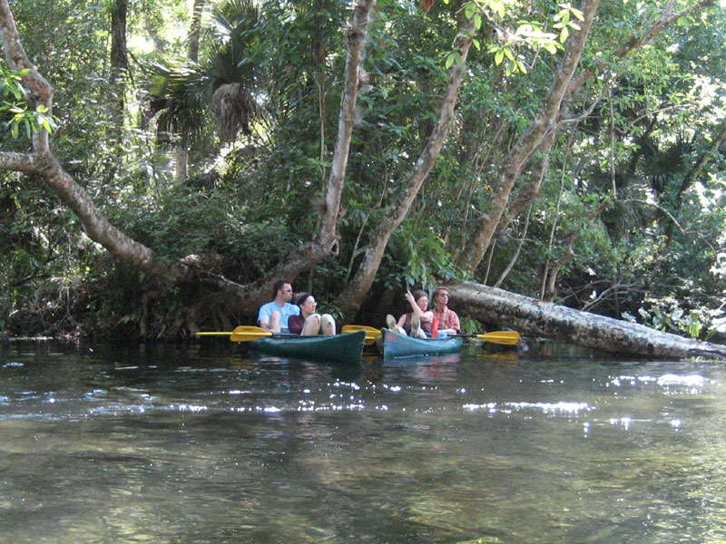 Kayaking at Wekiva Springs